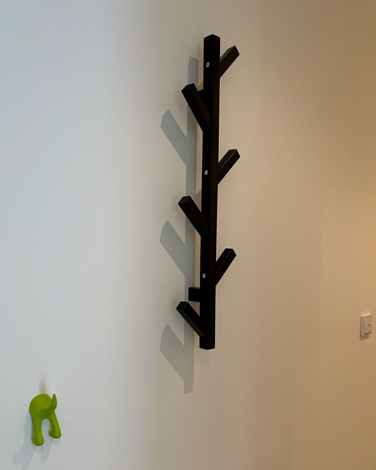 Garderobe aus einem Ast in der Praxis
